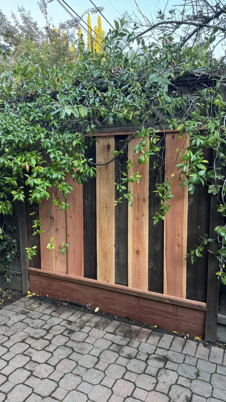 Fence bay with several pale new redwood boards set among dark weathered ones, new kickboard along the bottom
