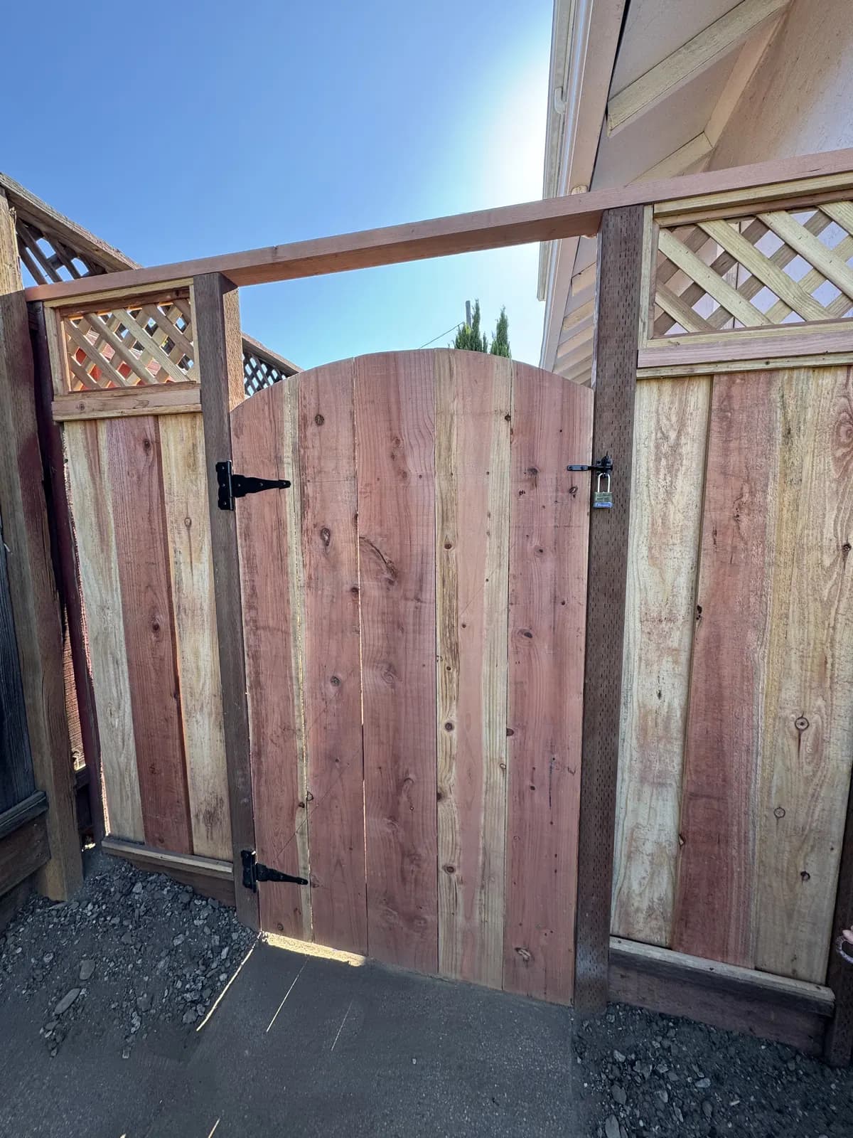 Redwood gate with an arched top hung on black strap hinges, hasp and padlock, lattice-topped fence either side